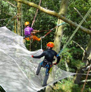 En équipe, installation technique d'un filet arboricole