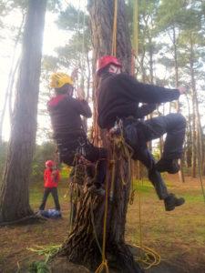 Exercices en binôme