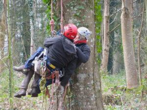 Techniques de sauvetage dans l'arbre