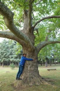 Pour l'amour de l'arbre !