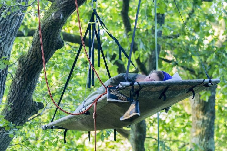 Réveil au petit matin après une nuit dans les branches