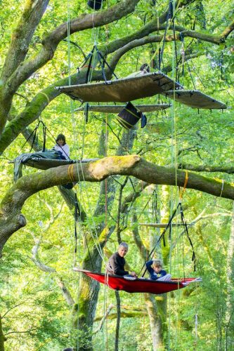 Nuits bivouac dans les arbres