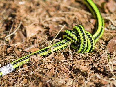 Apprendre les nœuds