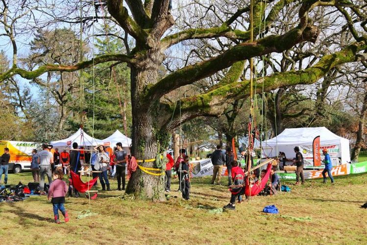 Mise en valeur du patrimoine arboré sur un événement grand public