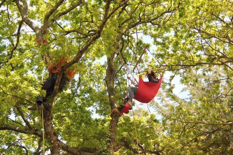 Chaise hamac dans les feuilles