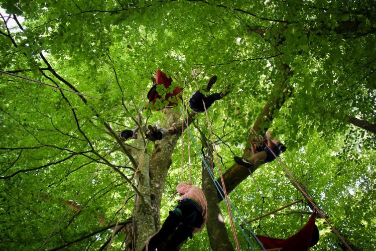 Voyage d'un groupe d'enfants dans l'arbre