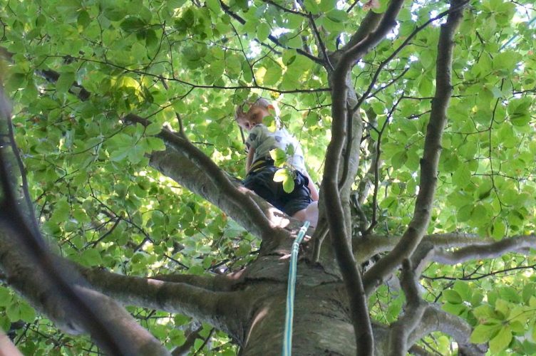 Moulinette en immersion au cœur de l'arbre