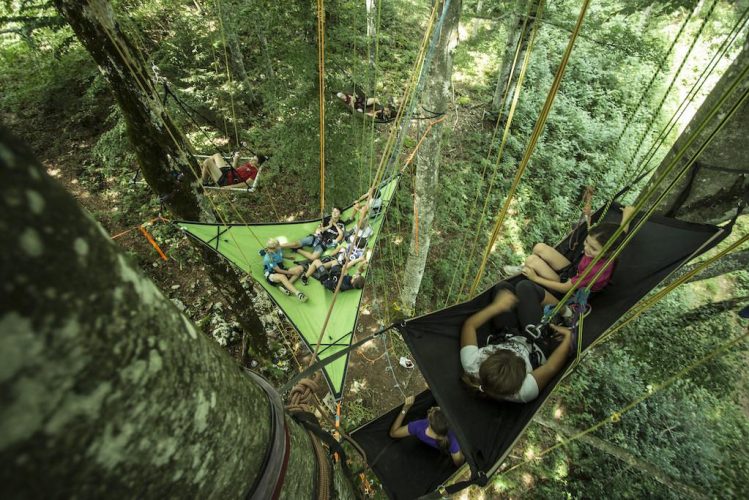 Village de hamacs et tentsile perchés