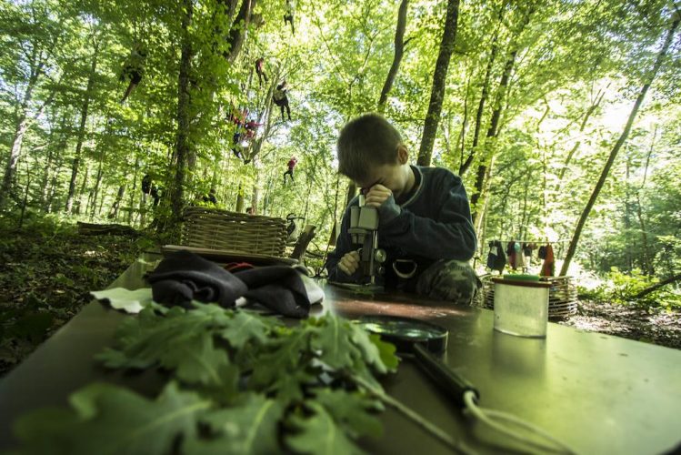 Observation scientifique d'éléments du milieu forestier