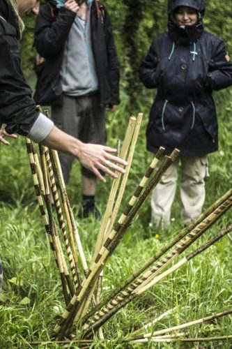 Mikado géant