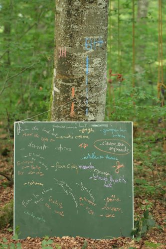 Brainstorming en plein air