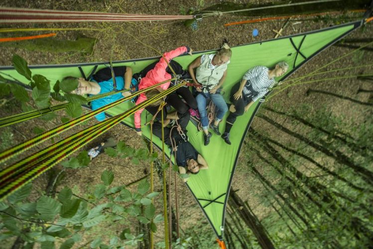 Convivialité sur une tentsile arboricole