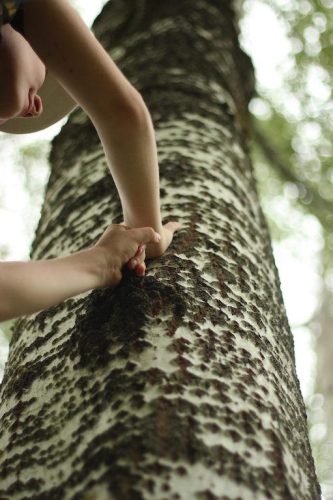 Retrouver le lien avec l'arbre